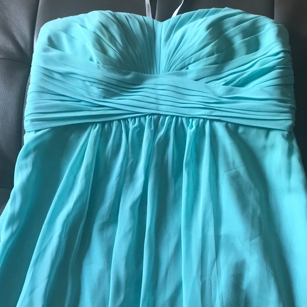 David’s Bridal Bridesmaid dress